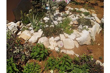 Hrvatska Privát Poreč, Eksterijer